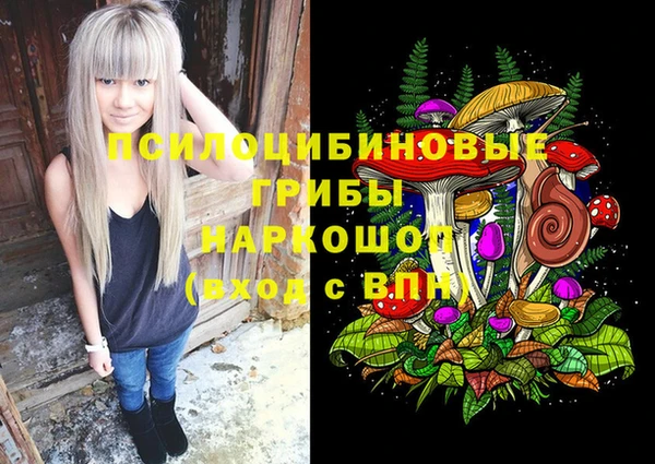амф Абдулино