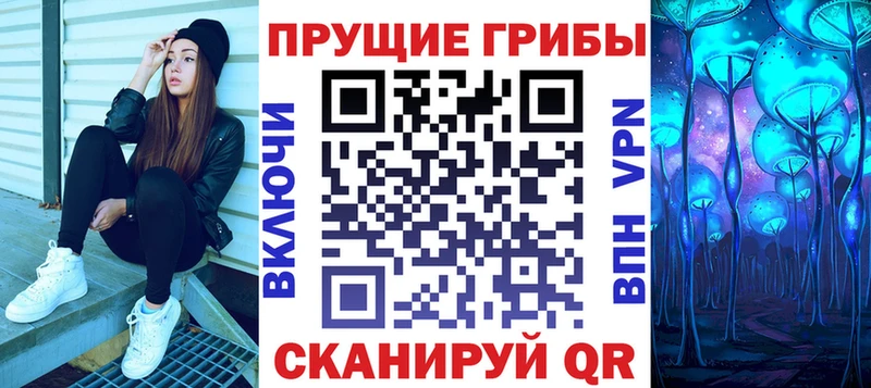 Галлюциногенные грибы Psilocybe  Краснозаводск 
